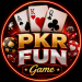 PKR FUN Game